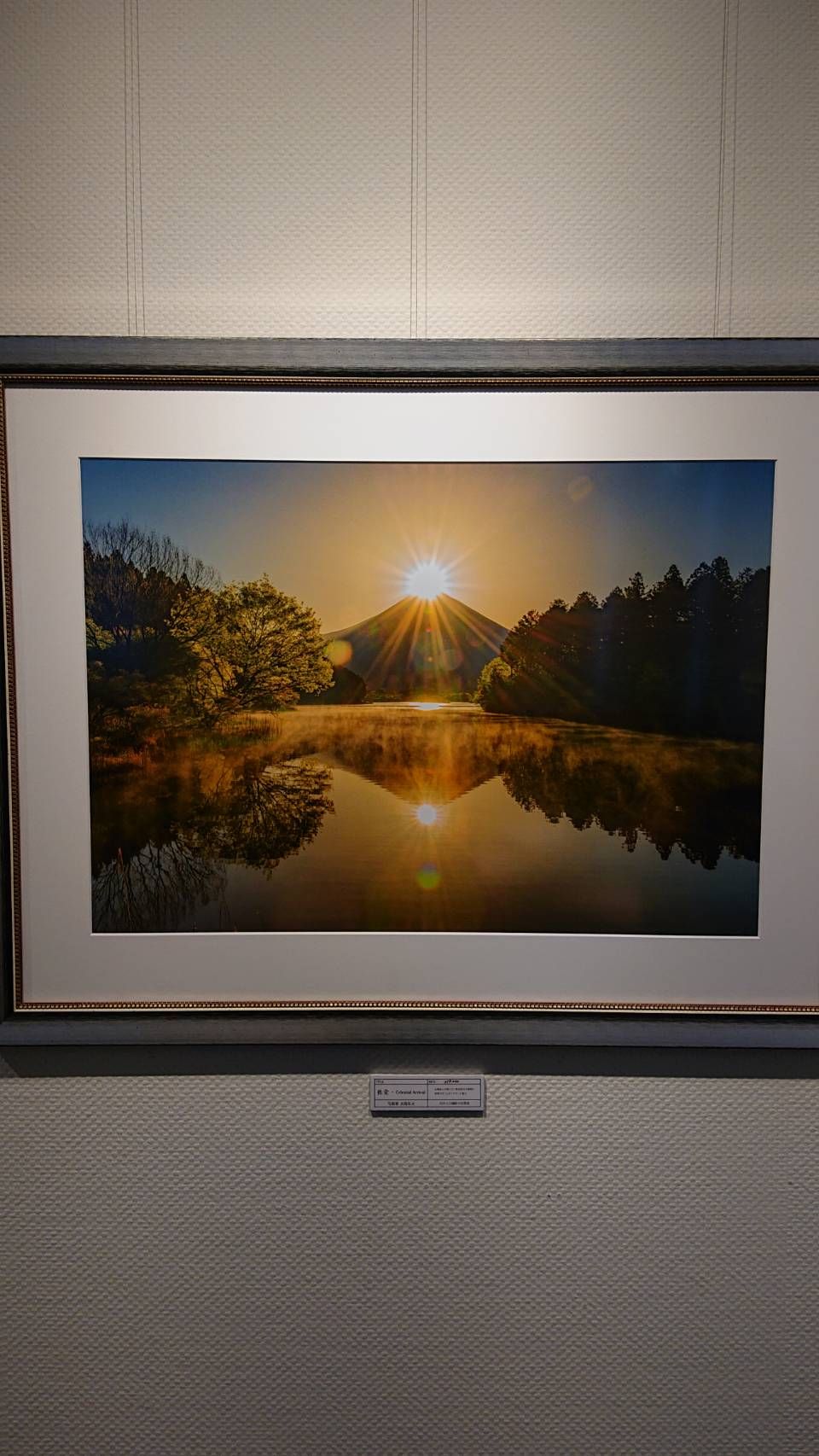 太陽系太　/　光の写真展２０２４